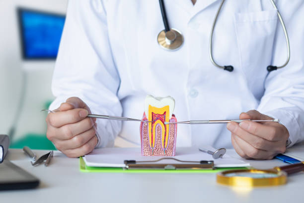 Best Emergency Treatment for Oral Infections in Bowling Green, OH